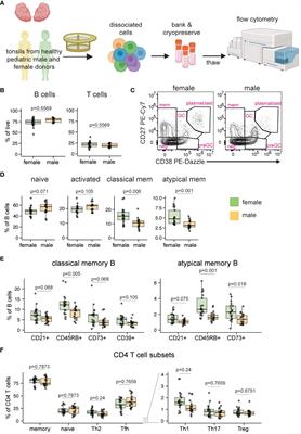 Tissue-specific sex differences in pediatric and adult immune cell composition and function